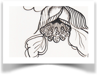 Line Drawing